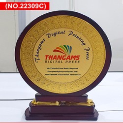1720424455-h-250-Trophy 1 300x300.jpg